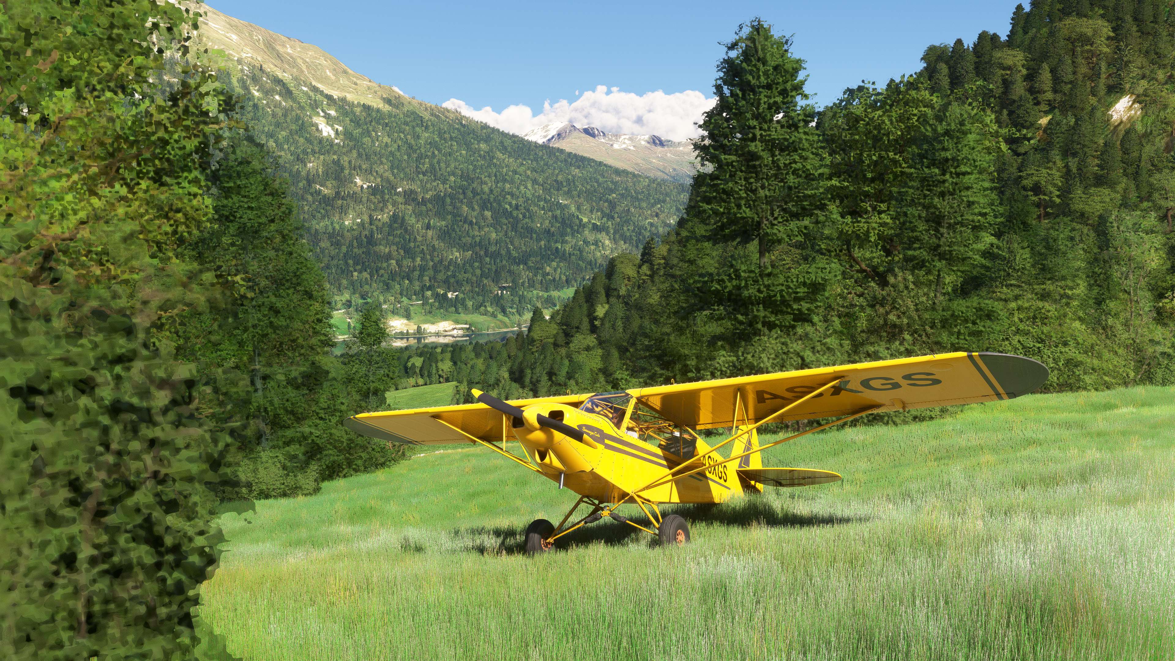 Microsoft Flight Simulator 2024 - Imagen 15